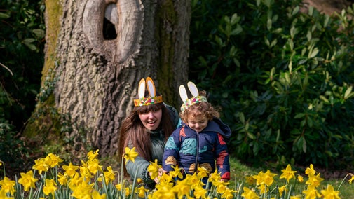 Family in the daffodils enjoying a spring garden